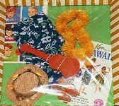 1404 Hawaii (1964)